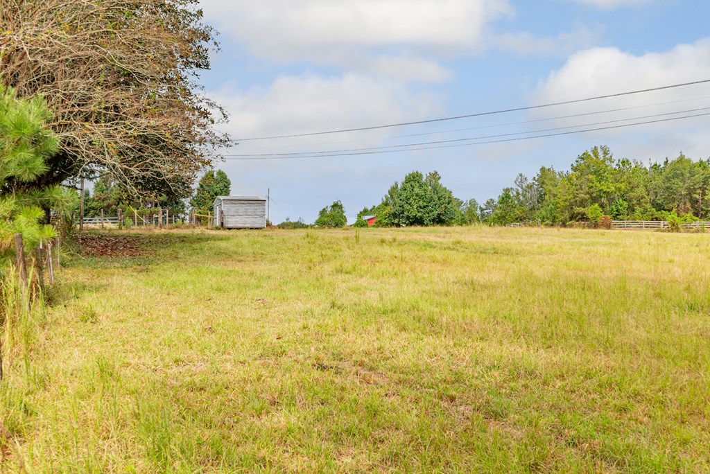4508 Sandfort Road Seale, AL 36875 - Photo 9 of 61