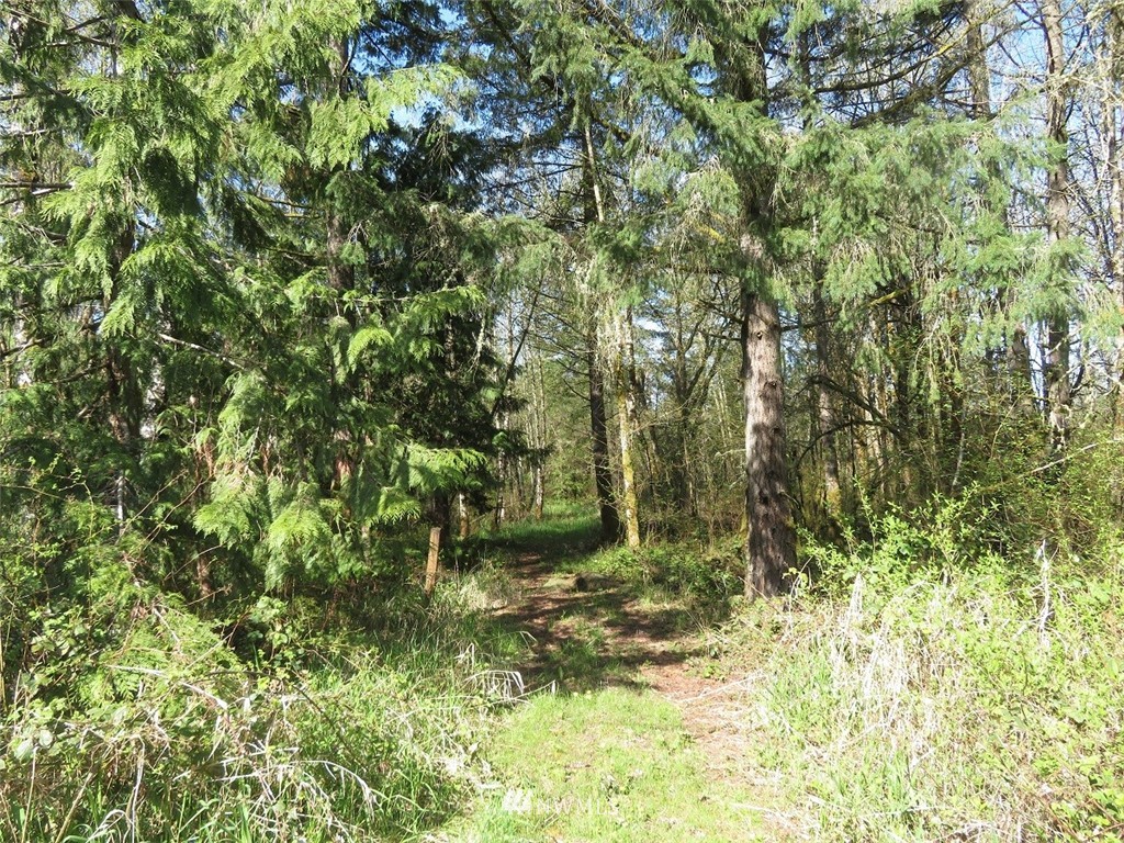 21703 Hobson Road Southwest Centralia, WA 98531 - Photo 1 of 16 Gallery Image 1