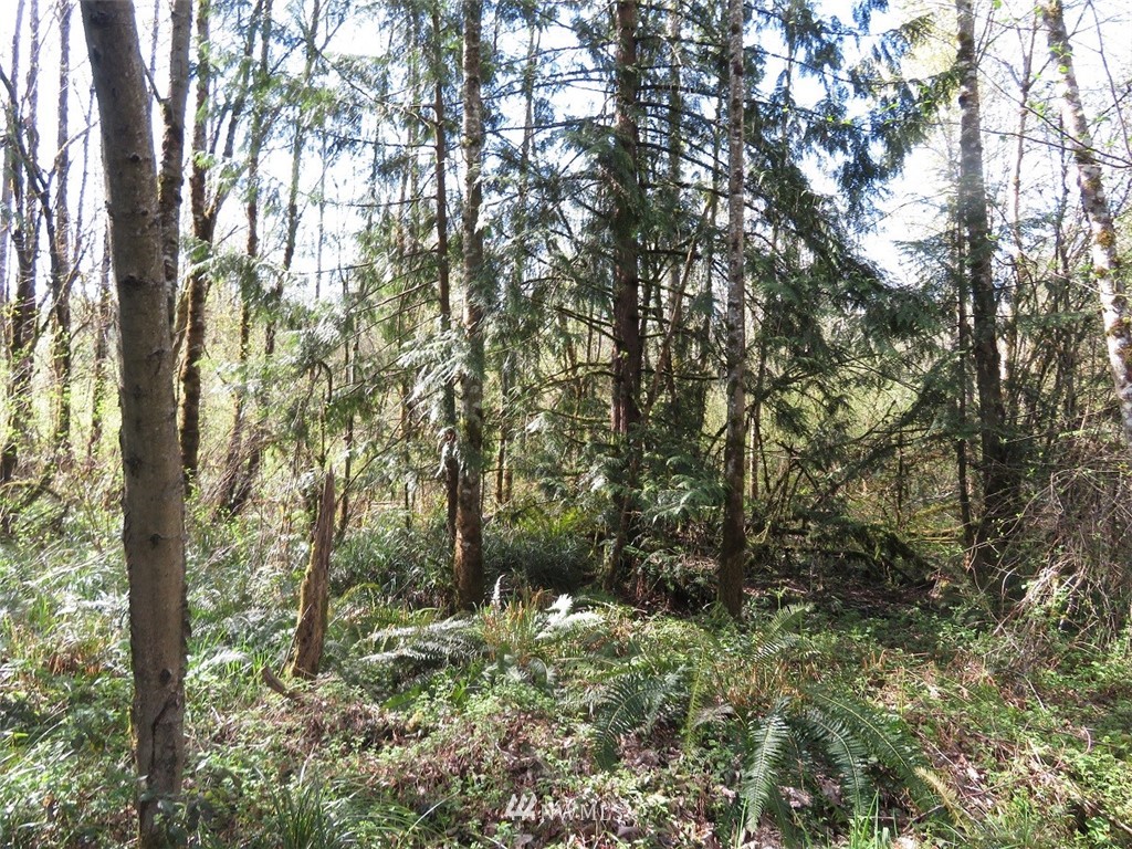 21703 Hobson Road Southwest Centralia, WA 98531 - Photo 2 of 16 Gallery Image 2