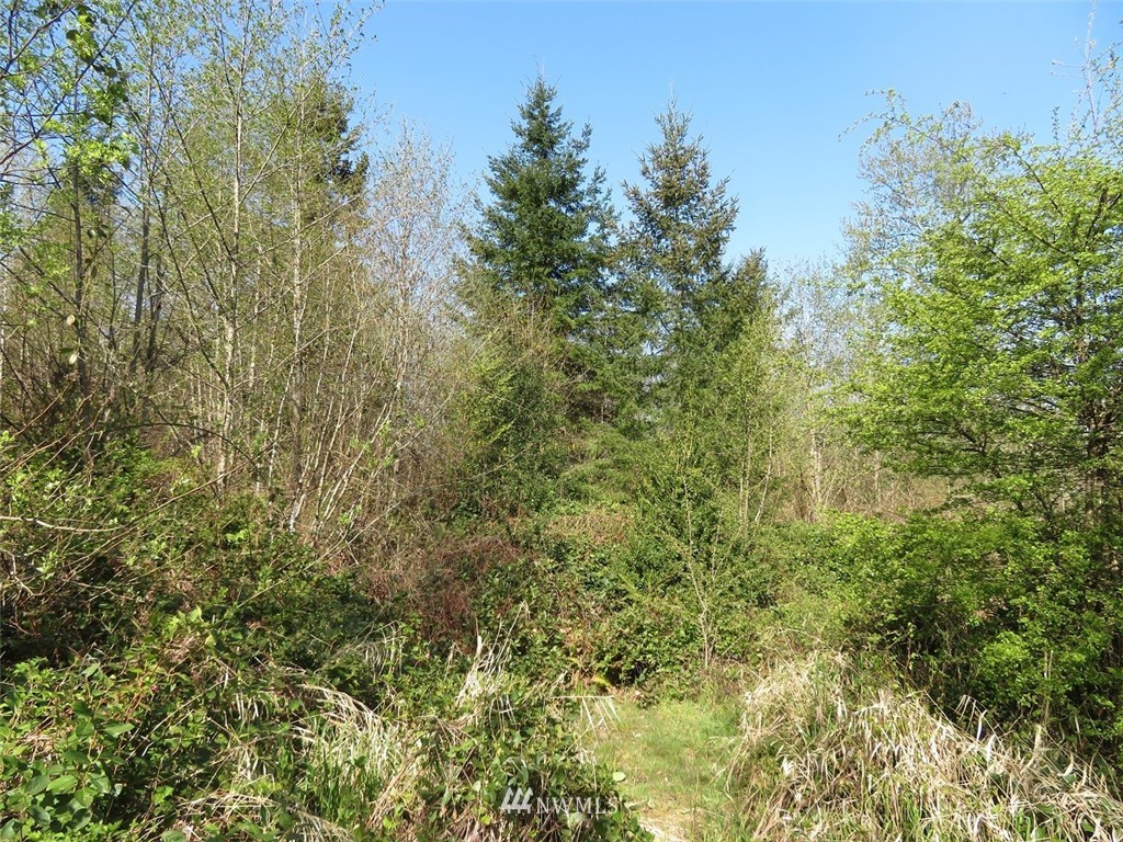 21703 Hobson Road Southwest Centralia, WA 98531 - Photo 11 of 16 Gallery Image 11