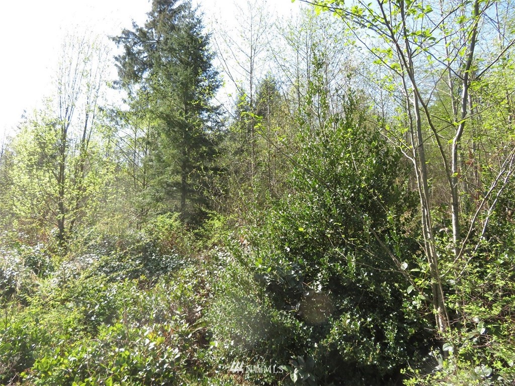 21703 Hobson Road Southwest Centralia, WA 98531 - Photo 12 of 16 Gallery Image 12