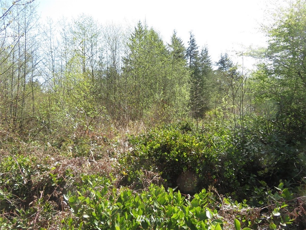 21703 Hobson Road Southwest Centralia, WA 98531 - Photo 13 of 16 Gallery Image 13