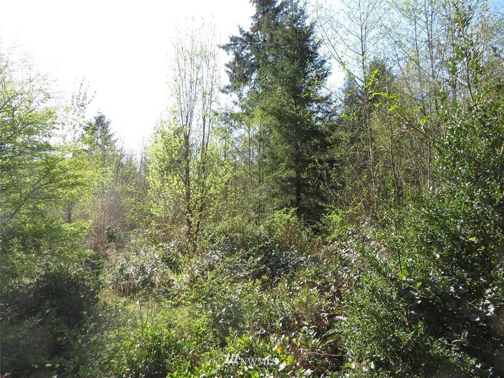 21703 Hobson Road Southwest Centralia, WA 98531 - Photo 14 of 16 Gallery Image 14