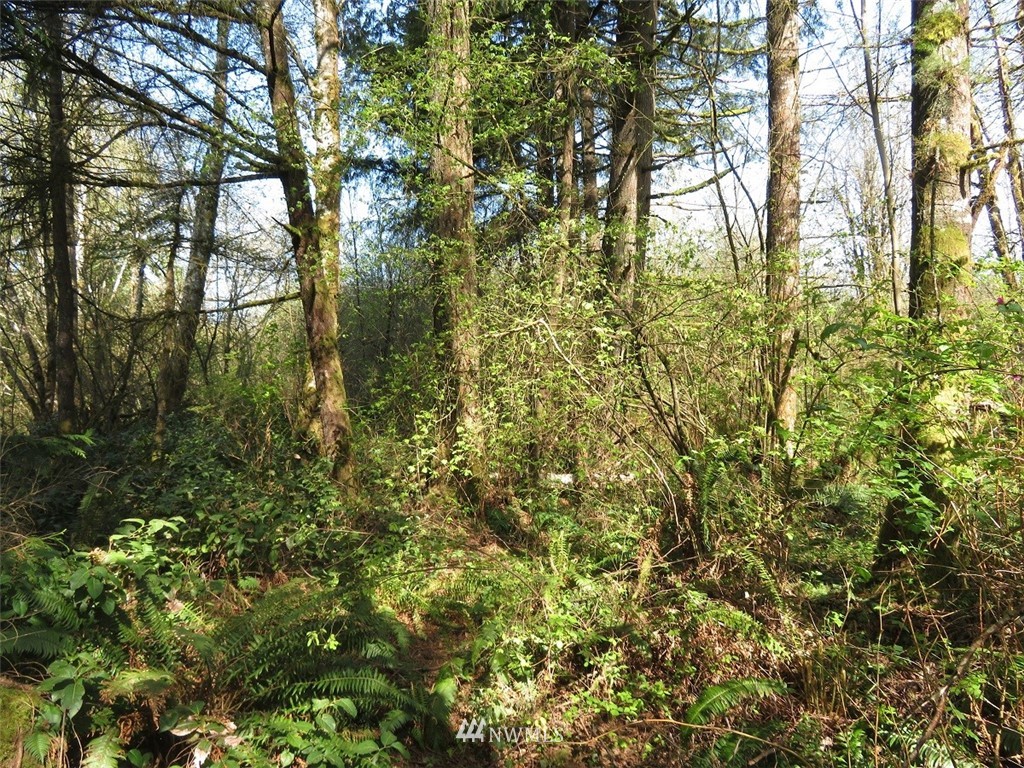 21703 Hobson Road Southwest Centralia, WA 98531 - Photo 15 of 16 Gallery Image 15