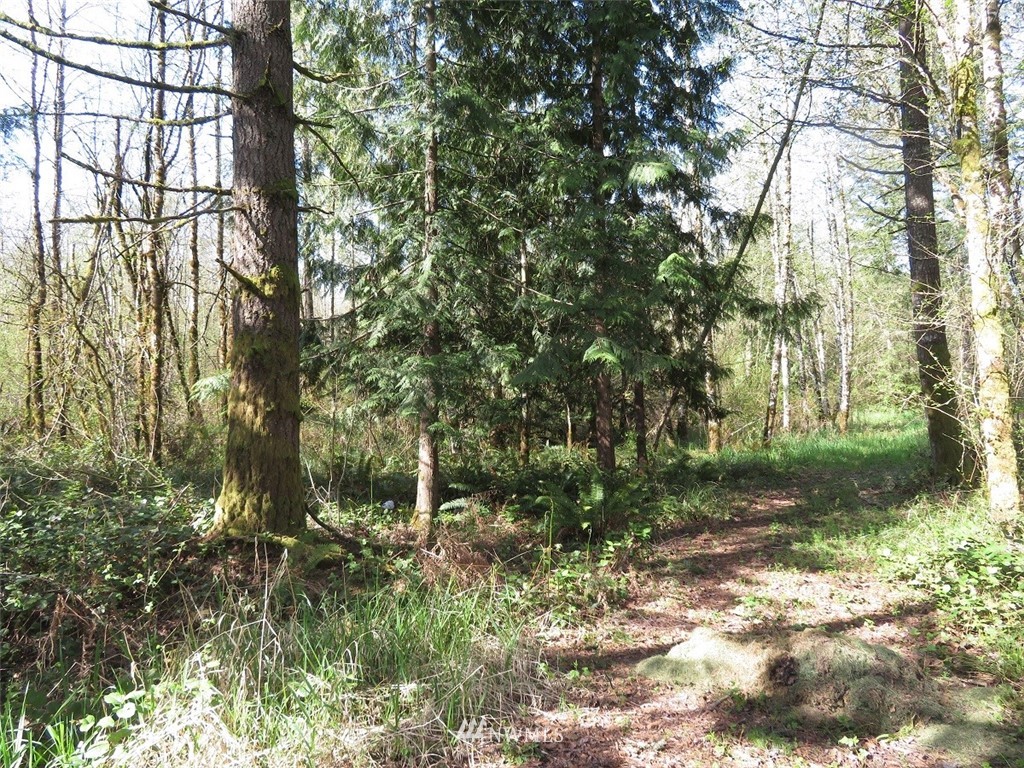 21703 Hobson Road Southwest Centralia, WA 98531 - Photo 16 of 16 Gallery Image 16