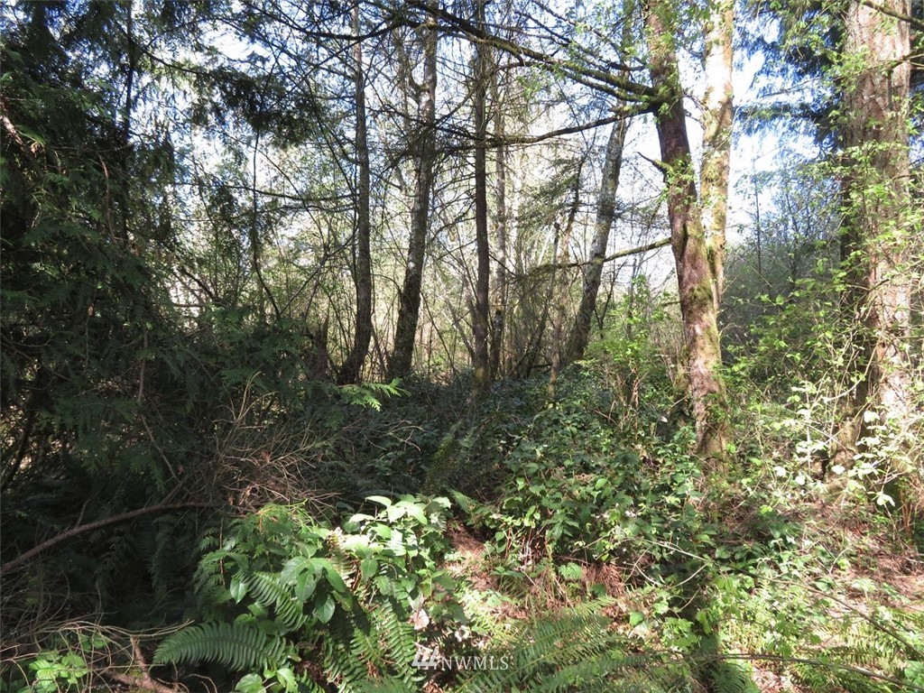 21703 Hobson Road Southwest Centralia, WA 98531 - Photo 3 of 16 Gallery Image 3