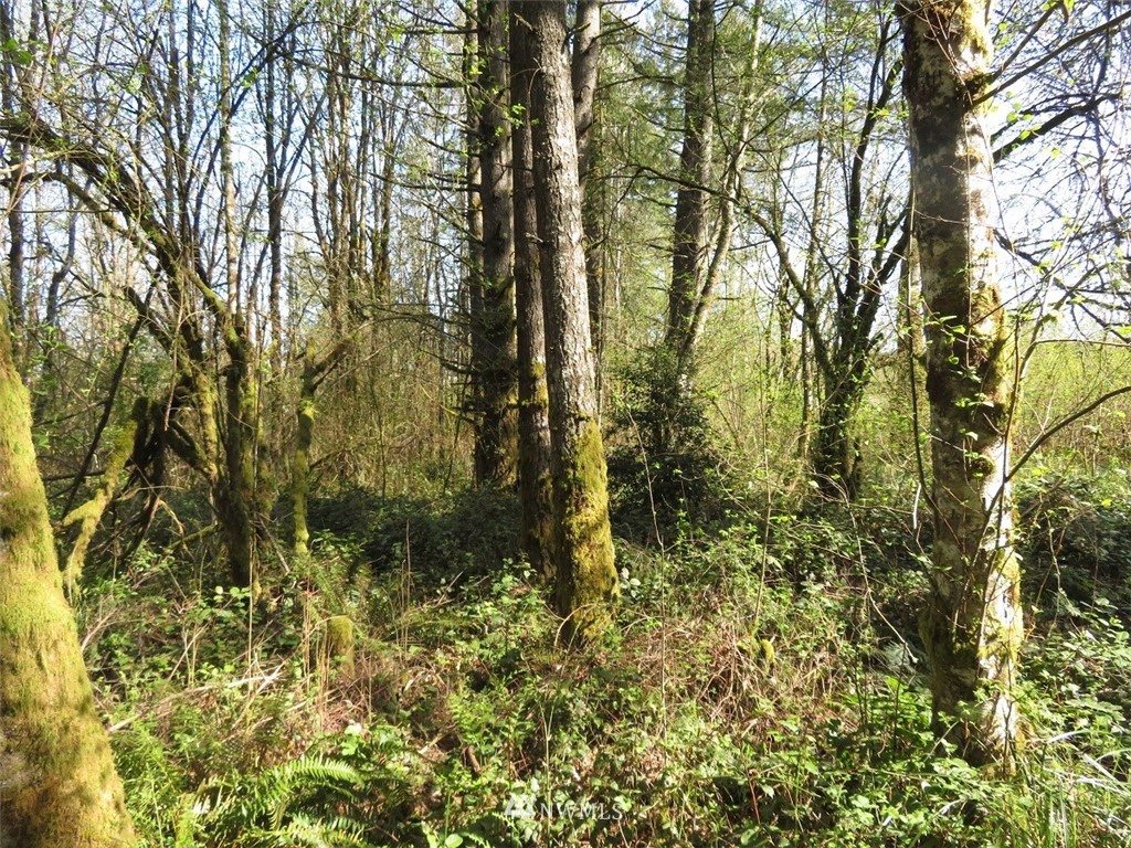 21703 Hobson Road Southwest Centralia, WA 98531 - Photo 4 of 16 Gallery Image 4