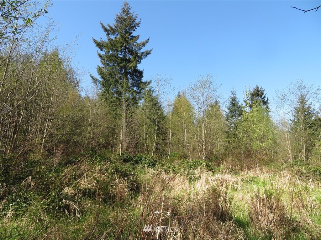 21703 Hobson Road Southwest Centralia, WA 98531 - Photo 6 of 16 Gallery Image 6