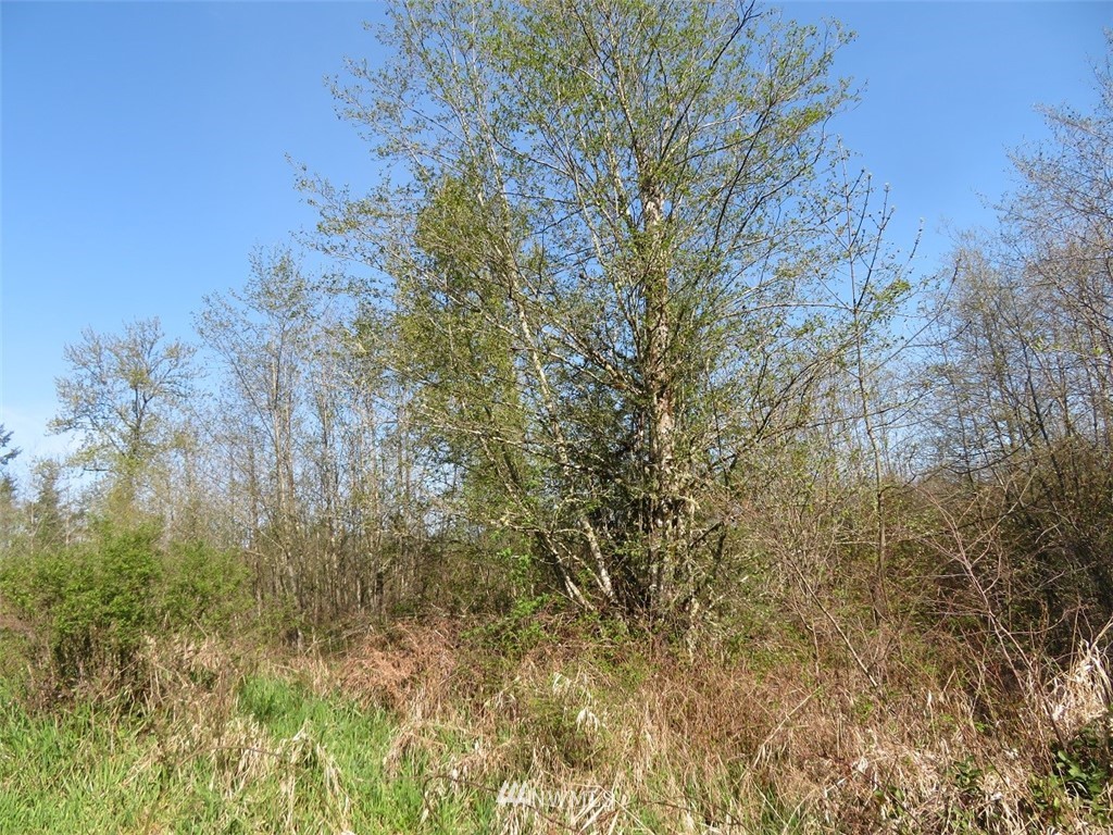 21703 Hobson Road Southwest Centralia, WA 98531 - Photo 7 of 16 Gallery Image 7