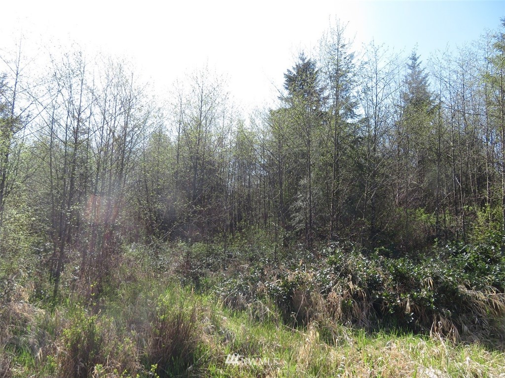 21703 Hobson Road Southwest Centralia, WA 98531 - Photo 8 of 16 Gallery Image 8