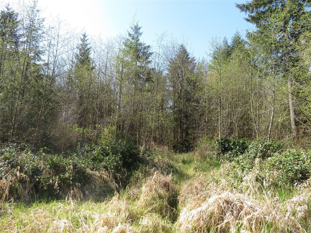 21703 Hobson Road Southwest Centralia, WA 98531 - Photo 9 of 16 Gallery Image 9
