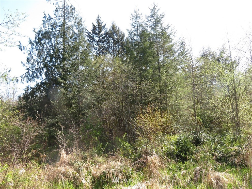21703 Hobson Road Southwest Centralia, WA 98531 - Photo 10 of 16 Gallery Image 10