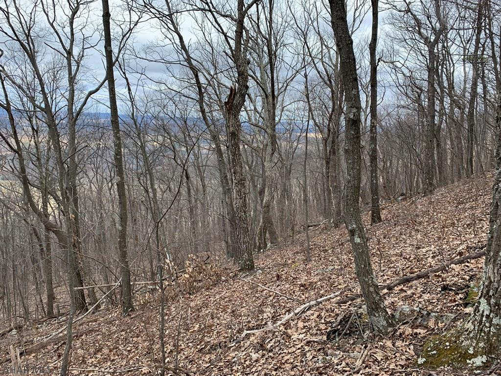 Lot 5 Monroe Mountain Road Clearville, PA 15535 - Photo 17 of 31 Gallery Image 17
