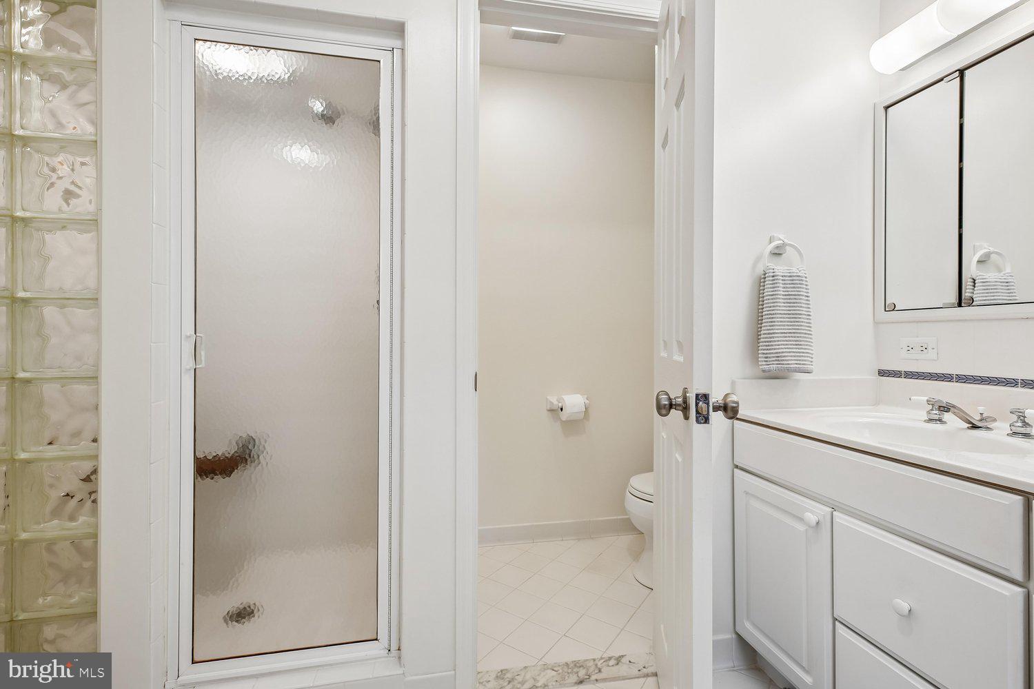 1525 Arbor View Road Silver Spring, MD 20902 - Photo 41 of 77 Primary Bath
