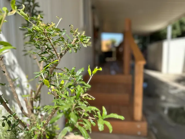 $119,999 | 225 North Akers Street, Unit 308, Visalia, CA 93291