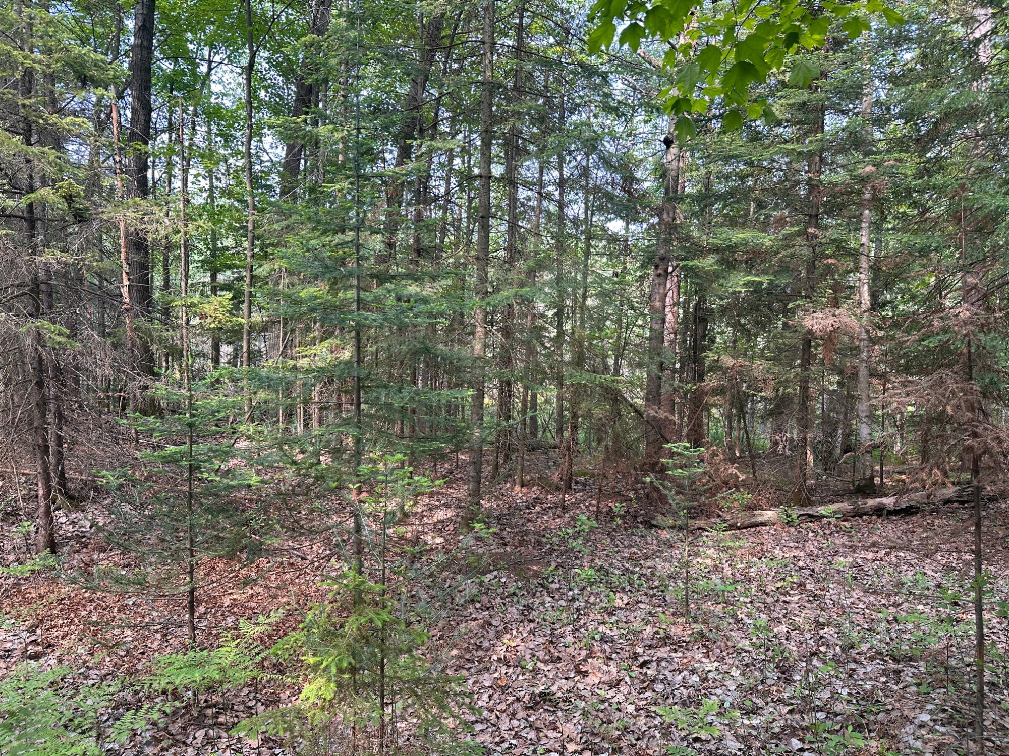 1640 Balsam Street, Unit 26 Rhinelander, WI 54501 - Photo 5 of 17 Gallery Image 5