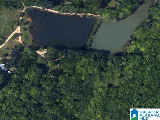 481 Aderholdt Mill Road Jacksonville, AL 36265 - Photo 9 of 10
