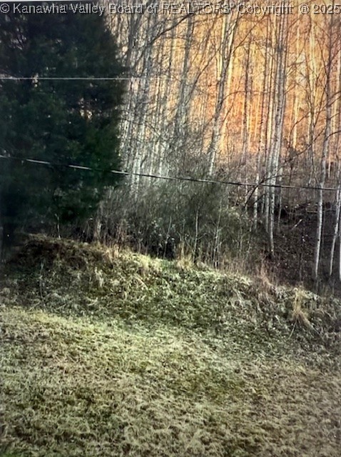 0 Utah Hollow Road Charleston, WV 25312 - Photo 36 of 39 Gallery Image 36