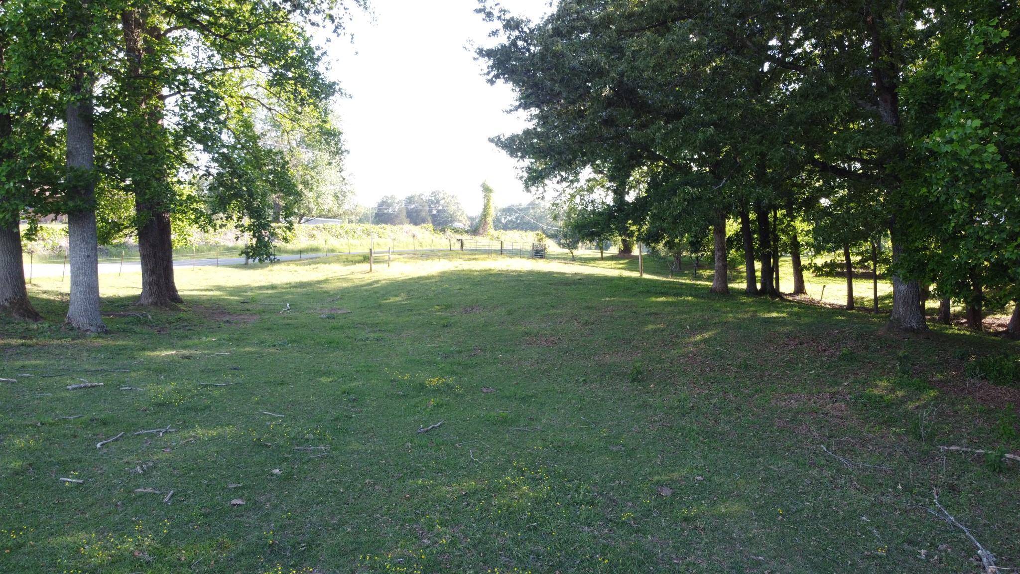 143 Griffintown Road Sparta, TN 38583 - Photo 30 of 35 a view of yard with swimming pool and trees