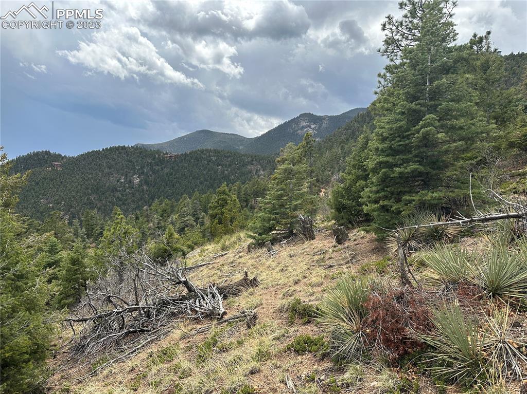 275 Upper Vista Road Manitou Springs, CO 80829 - Photo 2 of 20 a view of a dry yard with mountains and valleys