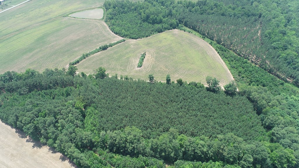Reedy Branch Road Kenbridge, VA 23944 - Photo 8 of 19 Gallery Image 8