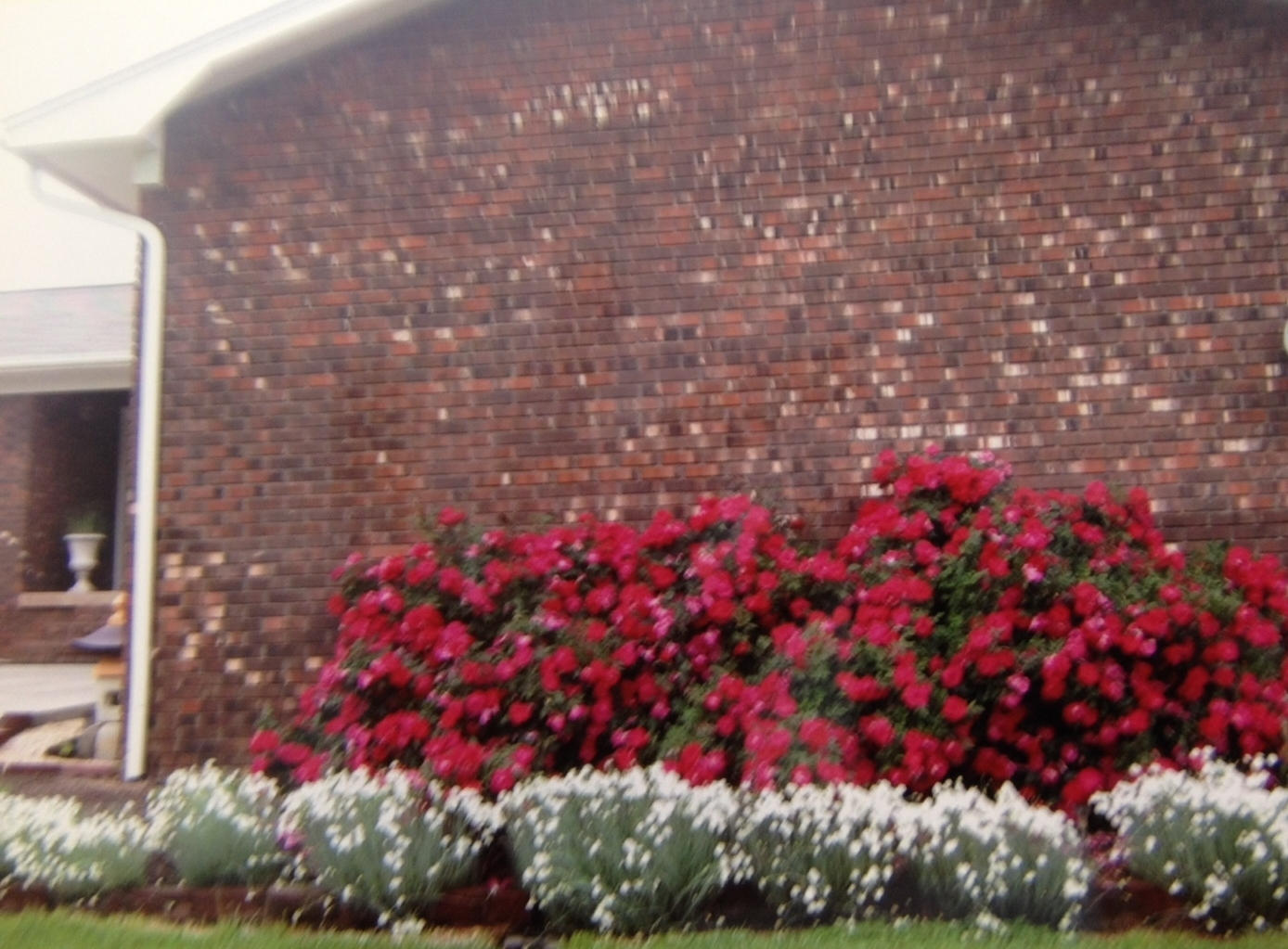 7346 Cornwall Road Knoxville, TN 37931 - Photo 23 of 26 bflowersCornwall, 7346 photo 1 (1)