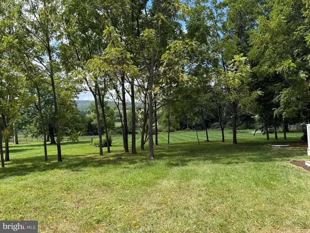 a ground with lots of trees