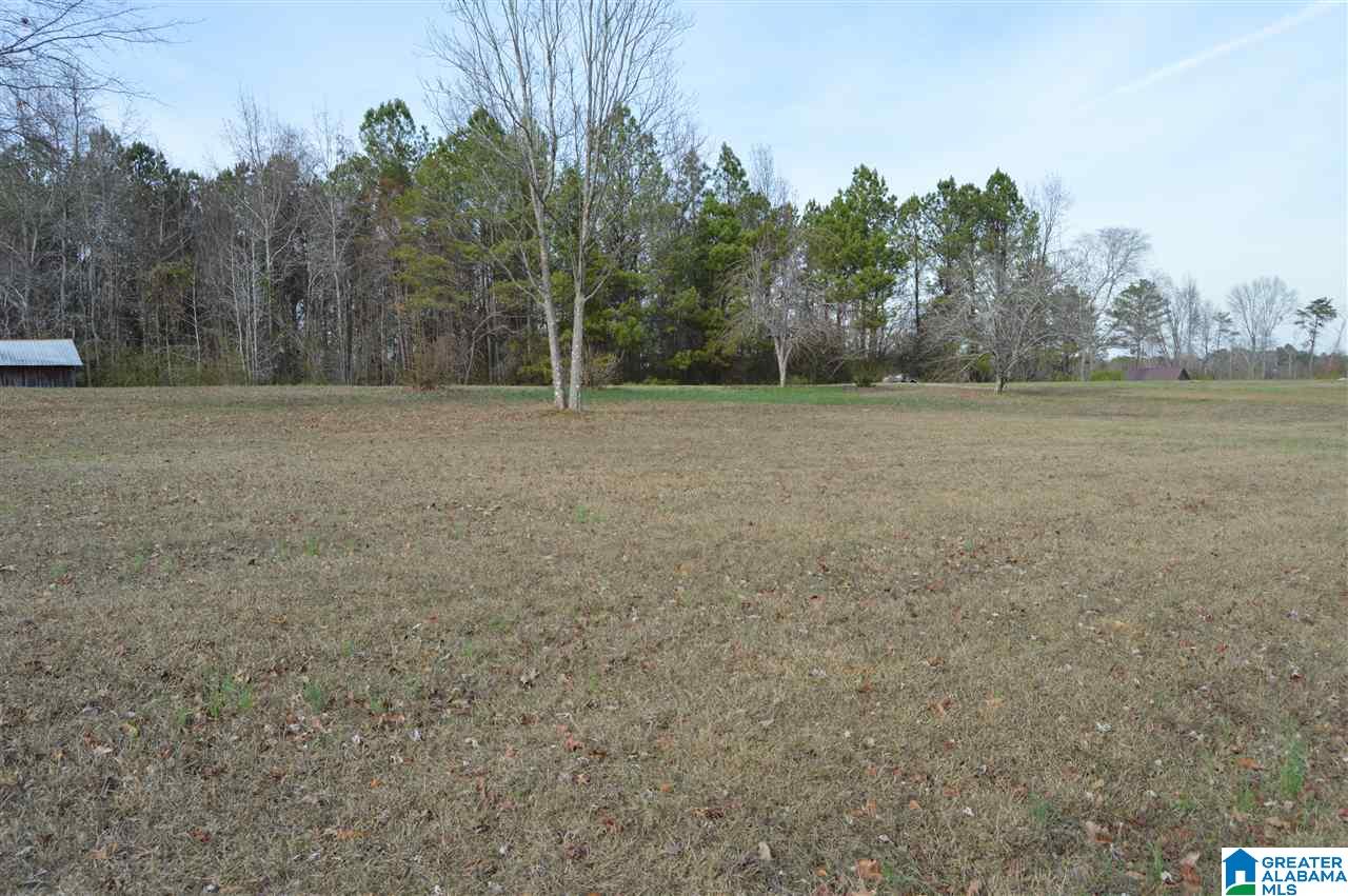 1307 Campbellville Road Empire, AL 35063 - Photo 36 of 37