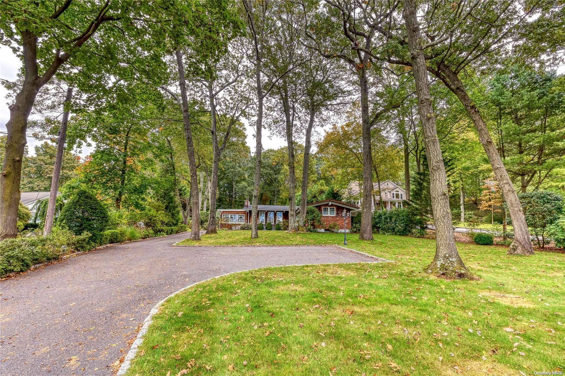 a view of a park with large trees