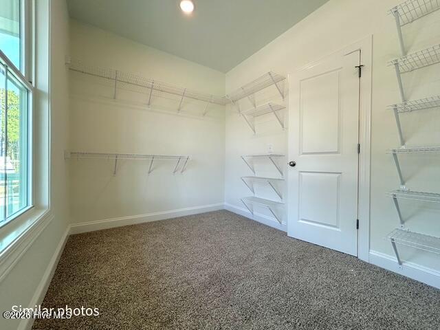 815 Sweetgrass Street Holly Ridge, NC 28445 - Photo 42 of 70 IMG_5964