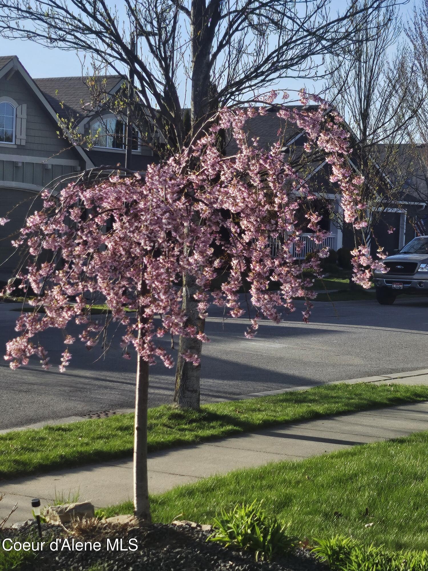 6254 Cornwall Street Coeur D'Alene, ID 83815 - Photo 33 of 35 Spring Landscaping