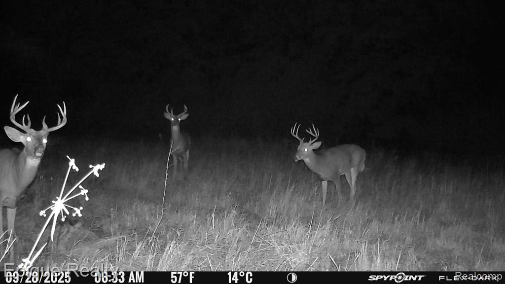 0 Jeddo Road Yale, MI 48097 - Photo 17 of 21
