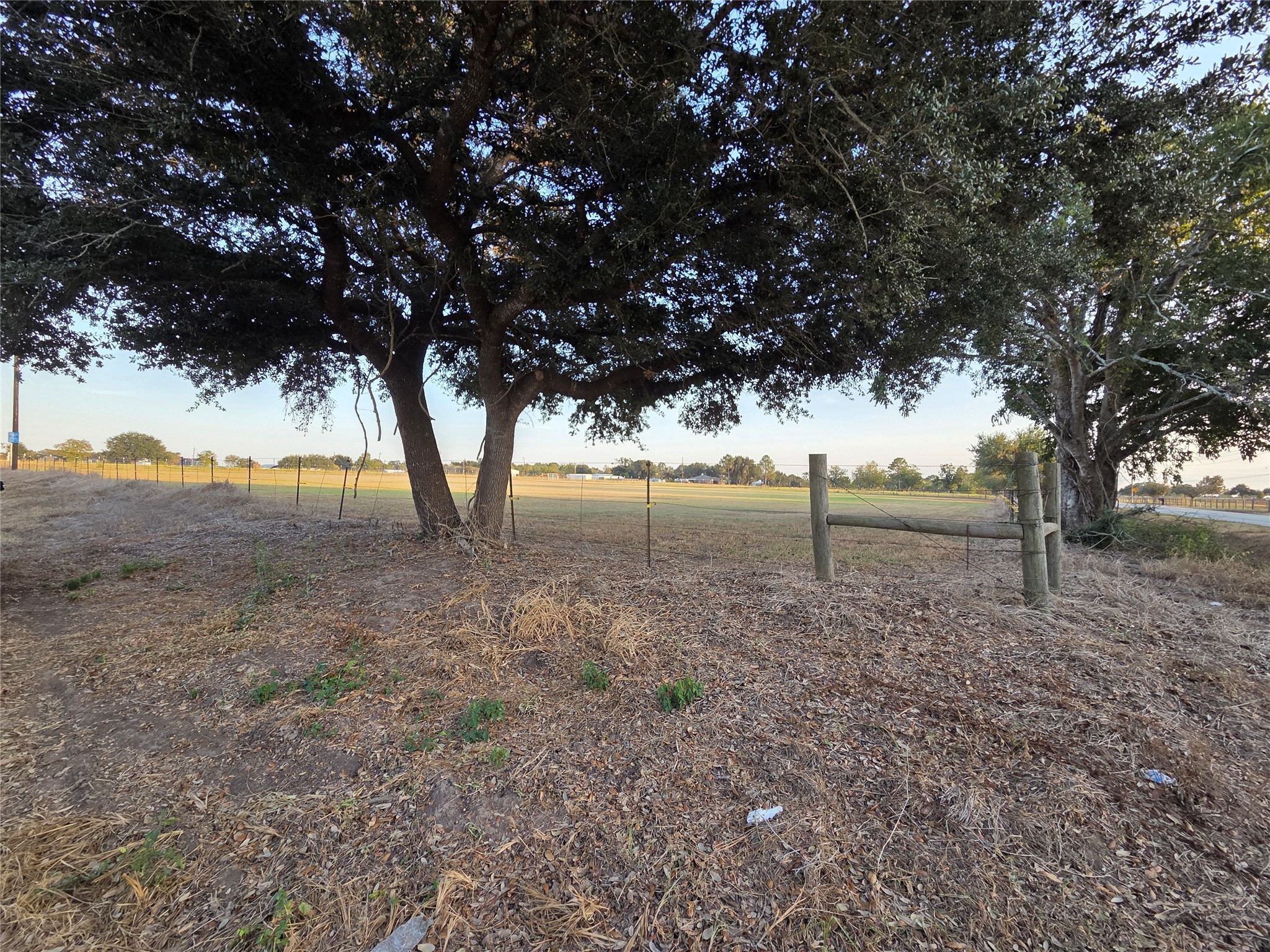 31954 Rochen Road Waller, TX 77484 - Photo 3 of 5 a view of outdoor space with trees
