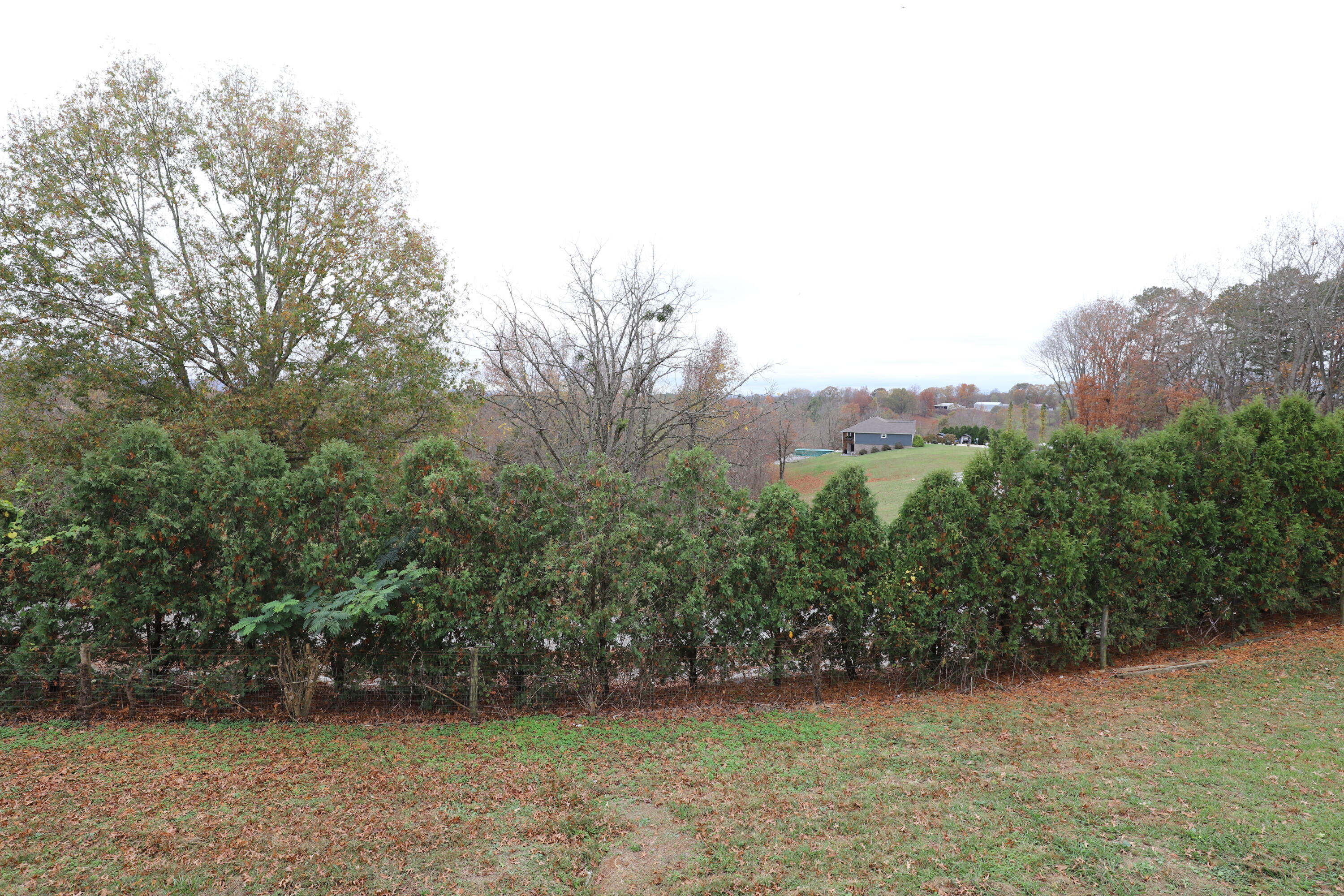 889 Bridge Hollow Road Somerset, KY 42503 - Photo 14 of 47 IMG_0959