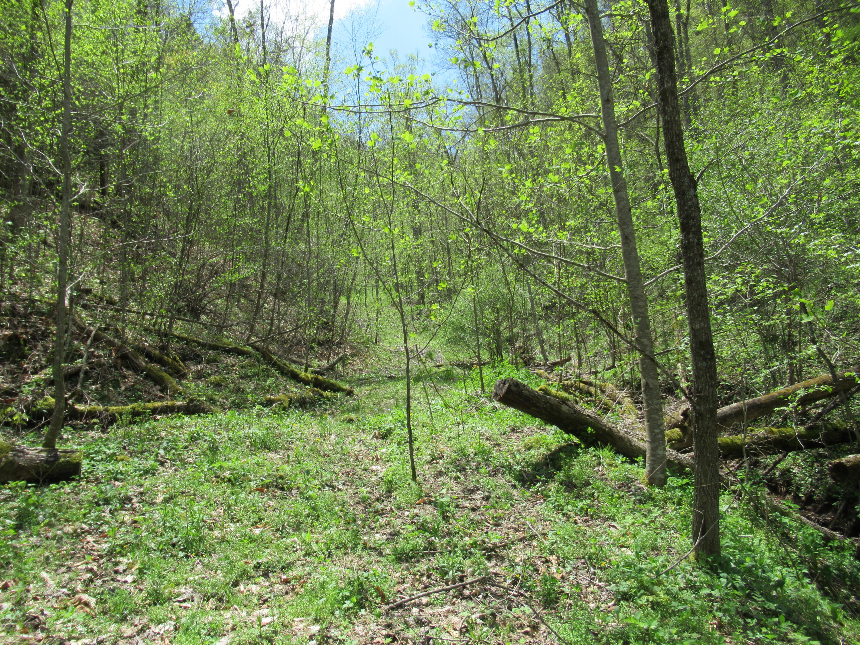 Fitzwater Branch Road Renick, WV 24966 - Photo 12 of 18 Gallery Image 12