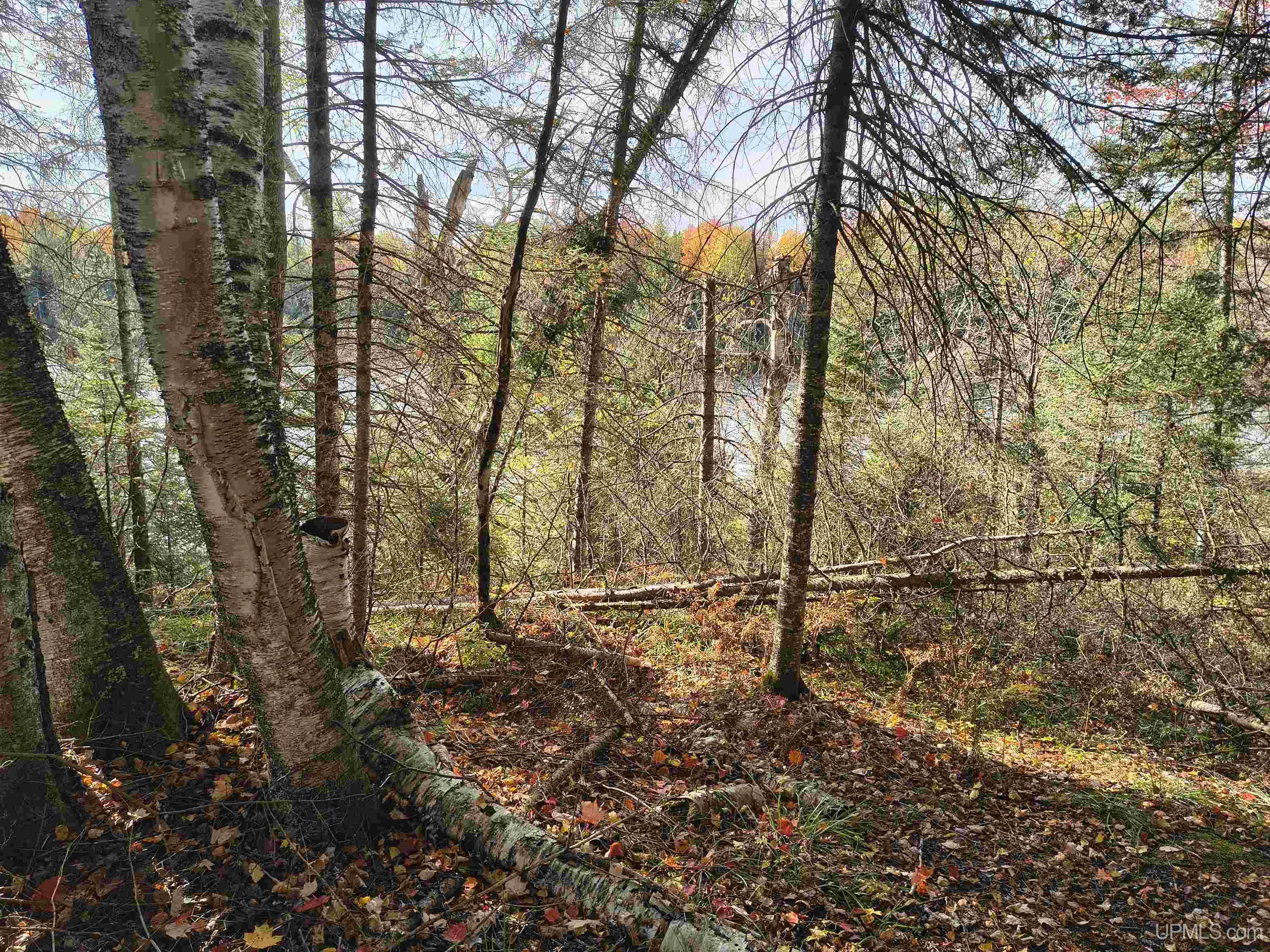 1 Rd Amasa Mi 49903 Road Crystal Falls, MI 49920 - Photo 18 of 33