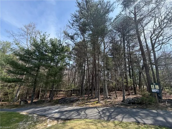 $7,500 | Lot 33 Greenstreet Drive, Traphill, NC 28685