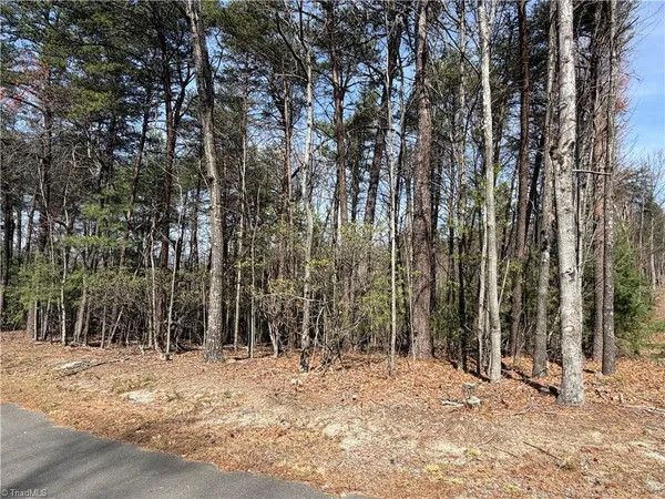 $7,500 | Lot 33 Greenstreet Drive, Traphill, NC 28685