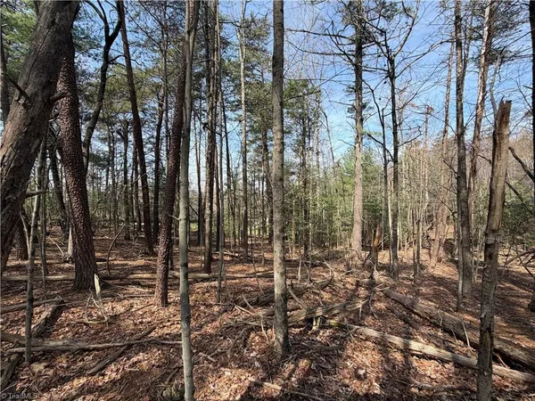 $7,500 | Lot 33 Greenstreet Drive, Traphill, NC 28685