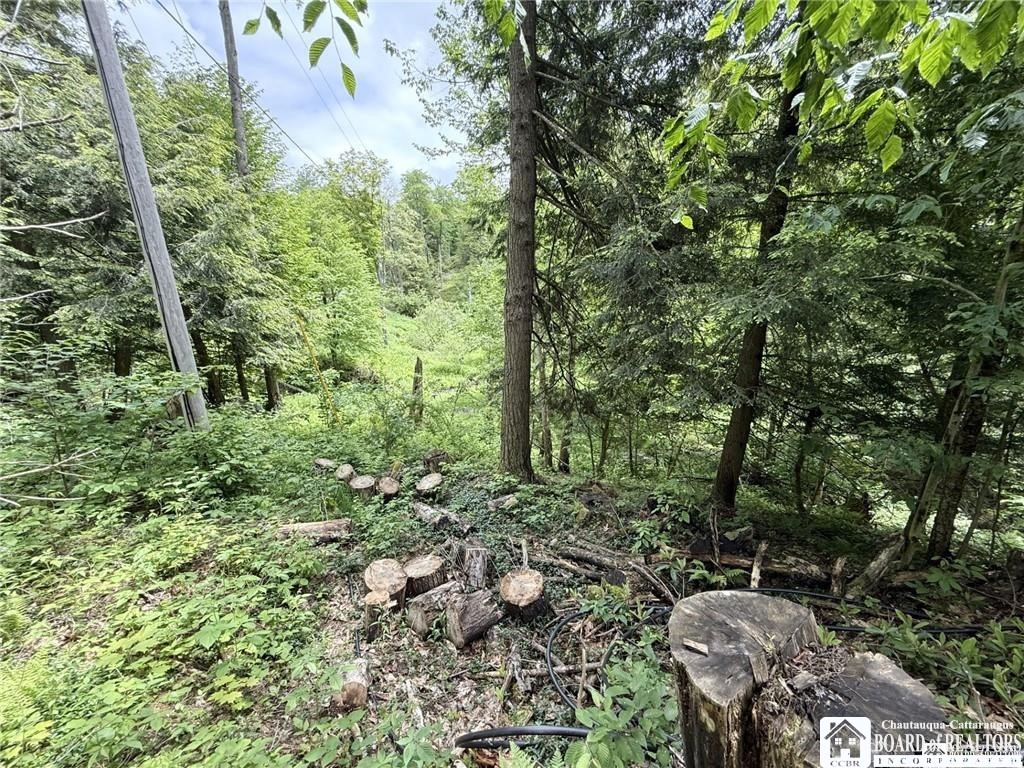 0 Luce Road Bemus Point, NY 14712 - Photo 26 of 39