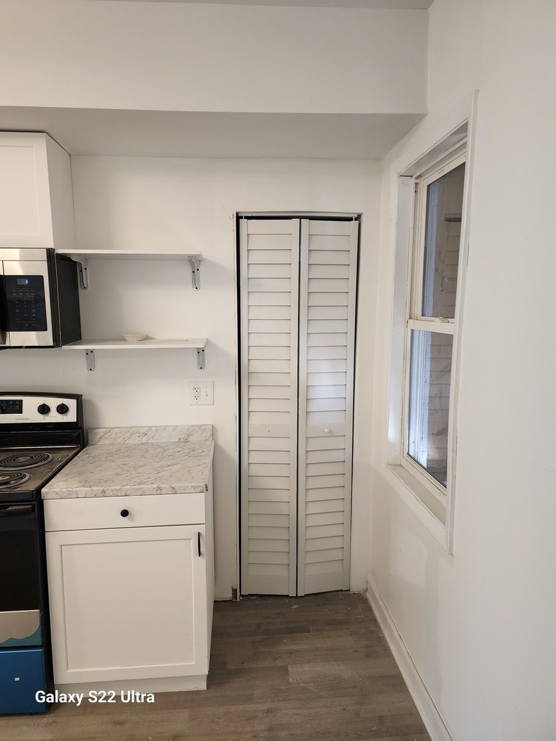 8909 South Houston Avenue Chicago, IL 60617 - Photo 10 of 19