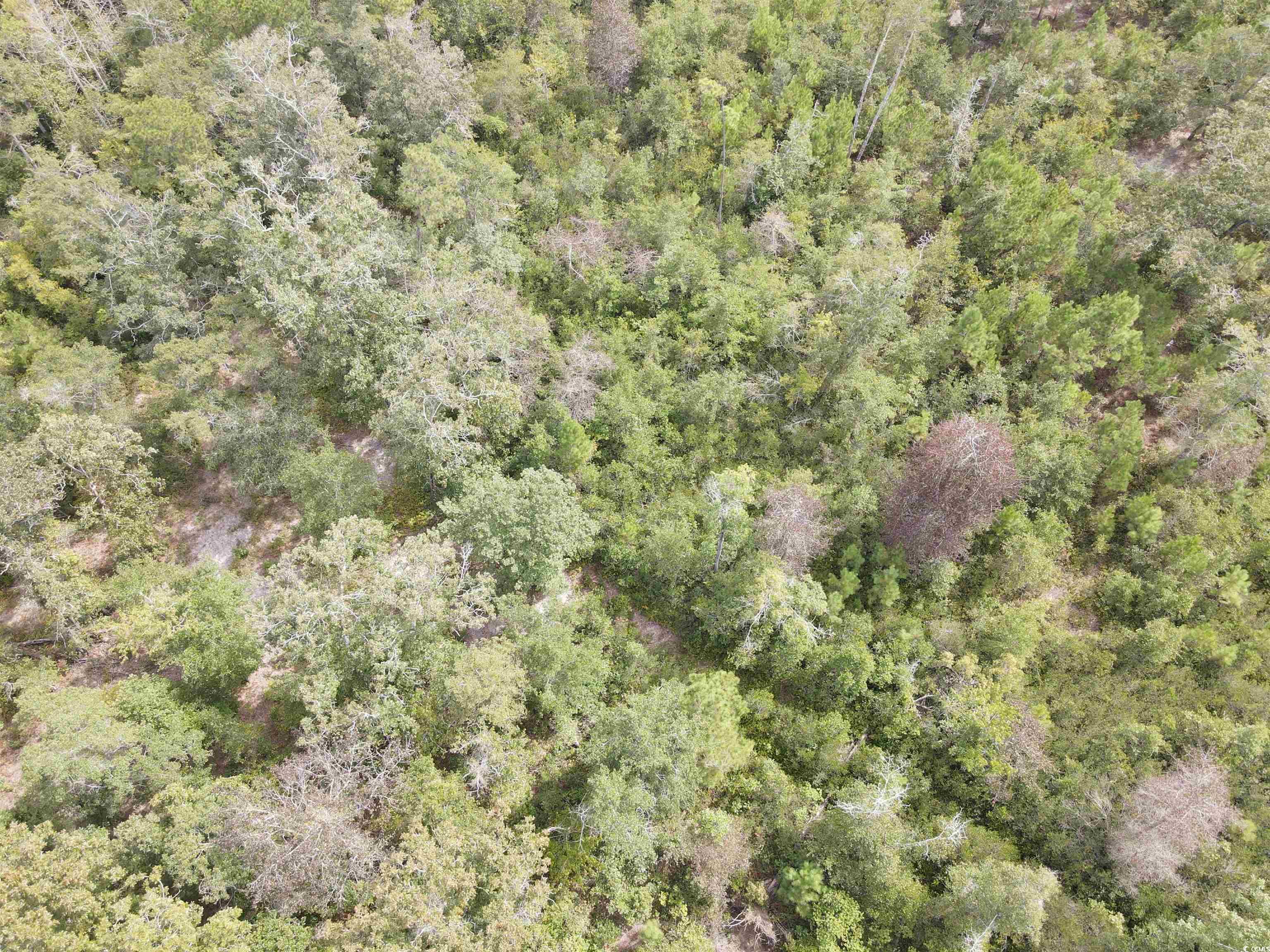 Lot 6 Rainbow Drive Loris, SC 29569 - Photo 18 of 21