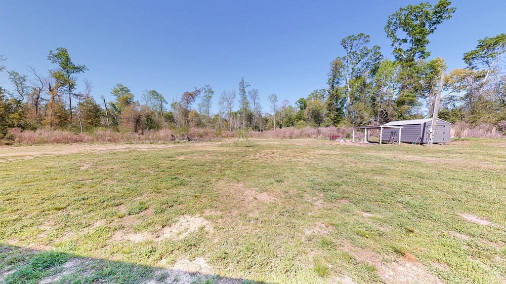 6615 State Line Road Cottonwood, AL 36320 - Photo 27 of 49