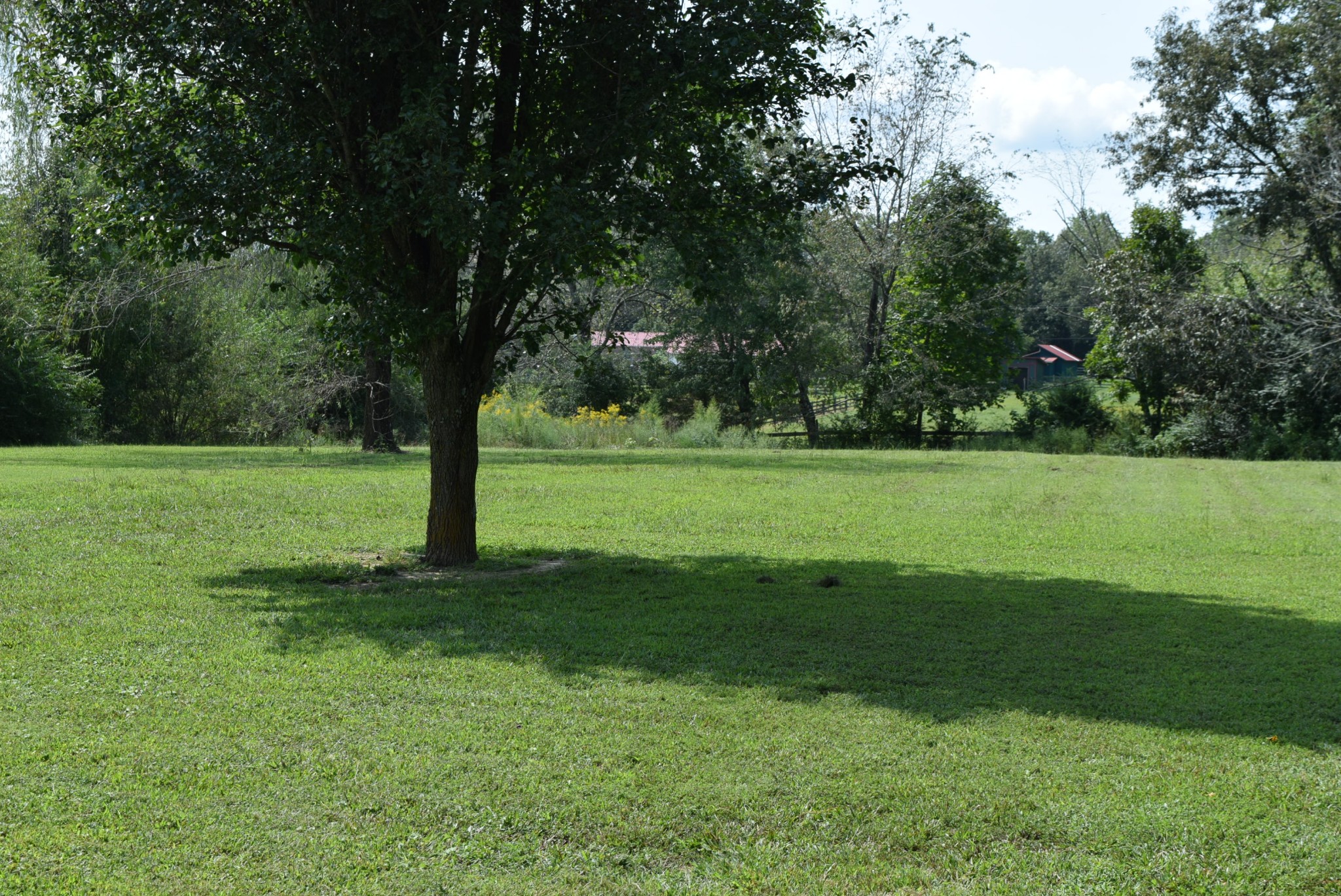60 Conley Road Tullahoma, TN 37388 - Photo 15 of 17 Gallery Image 15