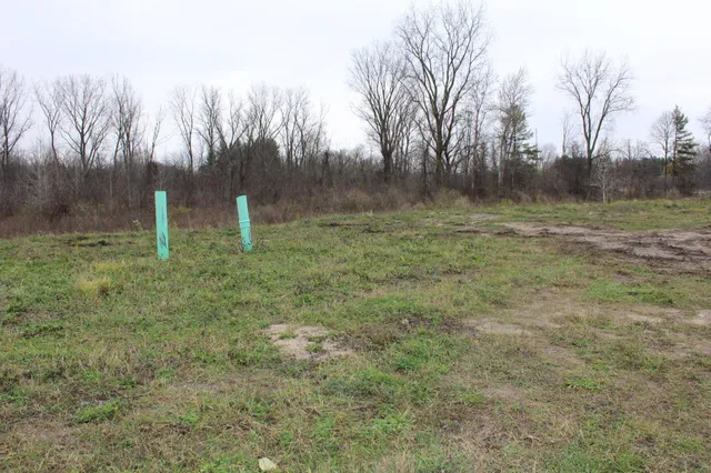 $74,000 | 8045 Tantrum Drive, Unit 100, Allendale, MI 49401