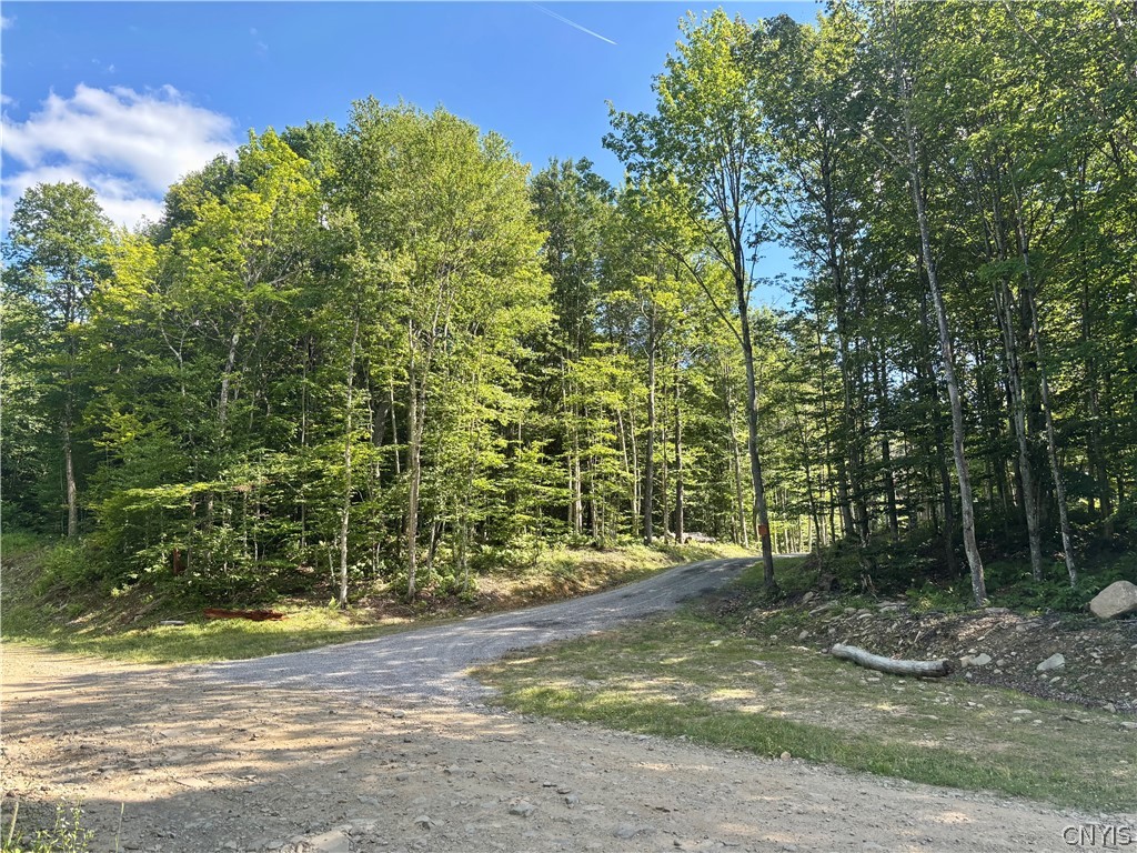 Olin Road Lowville, NY 13367 - Photo 5 of 7