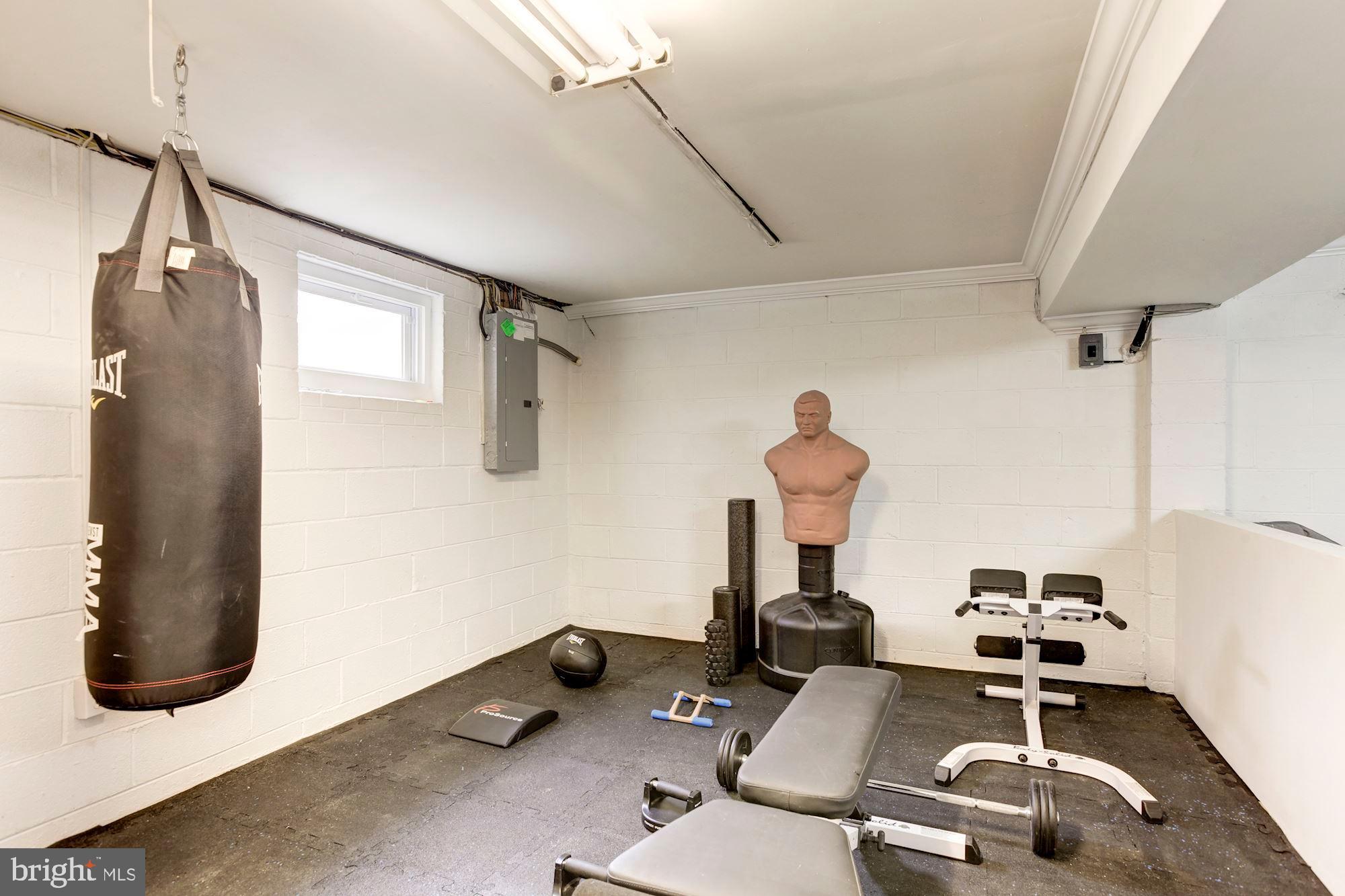 8306 Geneva Mason Road Potomac, MD 20854 - Photo 29 of 33 Gym in the lower level