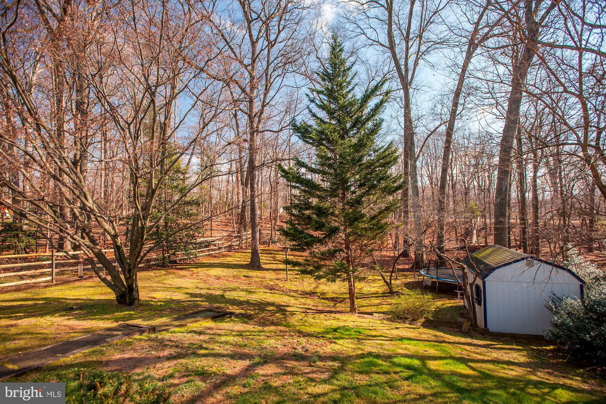 8306 Geneva Mason Road Potomac, MD 20854 - Photo 33 of 33 Your Yard!!!!
