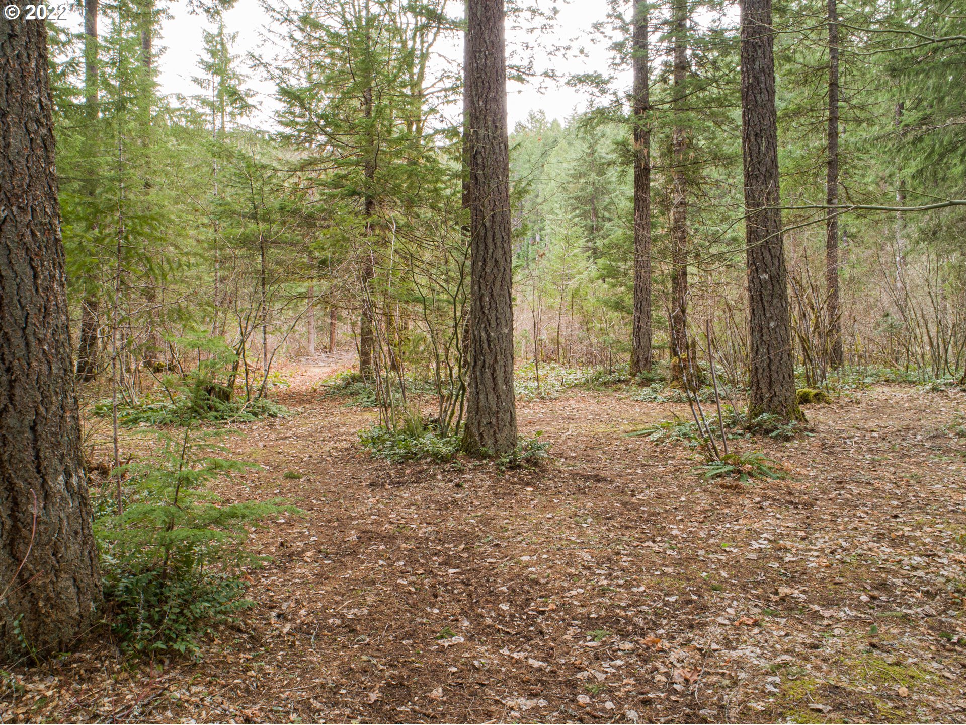 402 Leete Road Carson, WA 98610 - Photo 23 of 26 Gallery Image 23