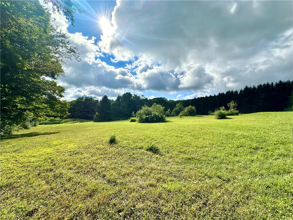 0 Lanning Road Naples, NY 14512 - Photo 5 of 33
